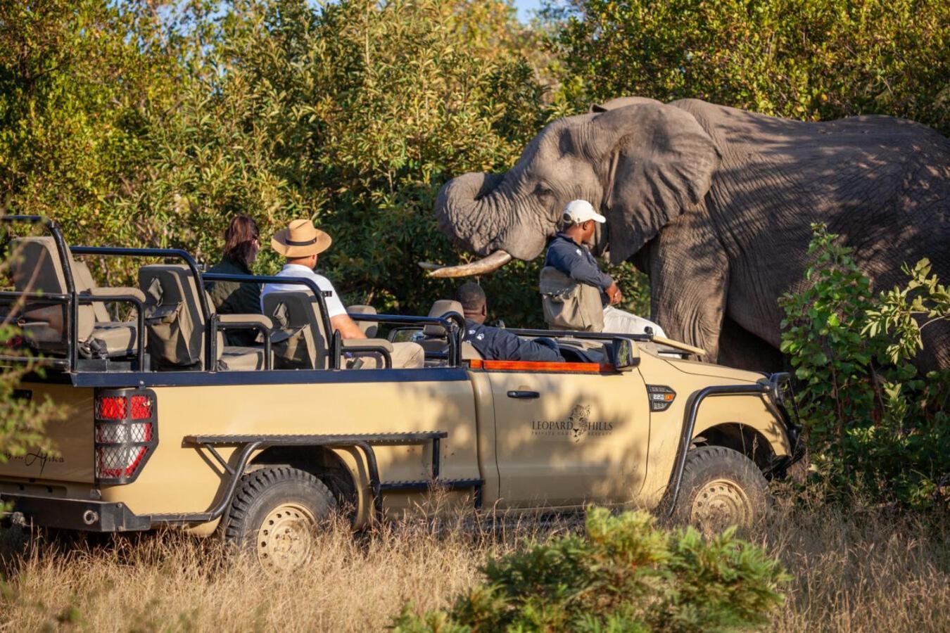 Leopard Hills Private Game Reserve サビ・サンド動物保護区 エクステリア 写真