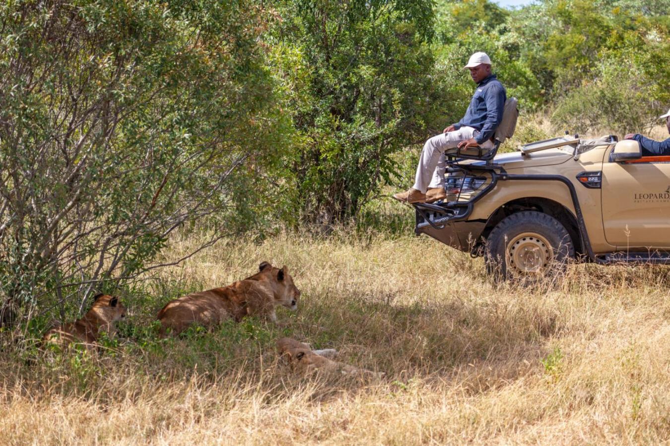 Leopard Hills Private Game Reserve サビ・サンド動物保護区 エクステリア 写真