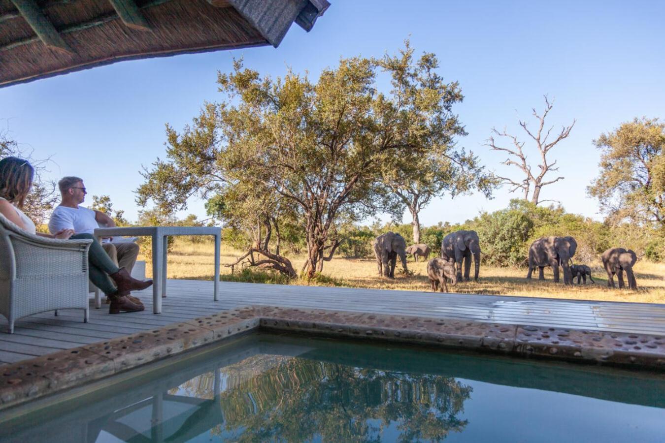 Leopard Hills Private Game Reserve サビ・サンド動物保護区 エクステリア 写真