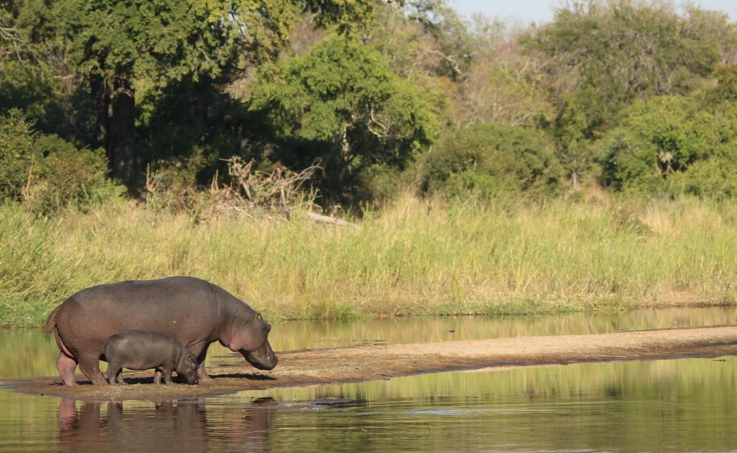 Leopard Hills Private Game Reserve サビ・サンド動物保護区 エクステリア 写真