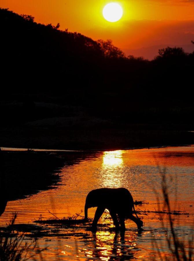 Leopard Hills Private Game Reserve サビ・サンド動物保護区 エクステリア 写真